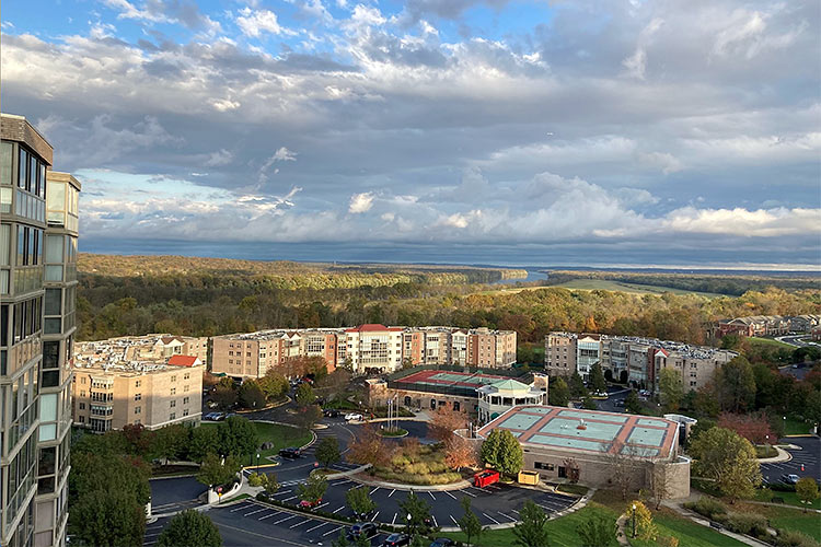 Campus 15