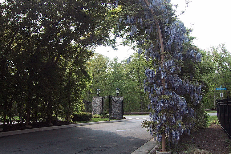 Campus 5