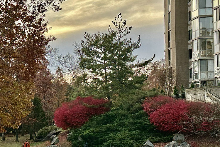 Campus 9